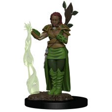 Dungeons & Dragons - Premium Human Female Druid