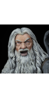 The Lord of the Rings - Gandalf in Moria Figure