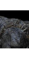 The Lord of the Rings - Cave Troll Miniature Statue