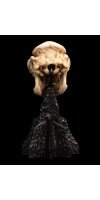The Lord of the Rings - Skull of a Cave Troll Miniature Skull