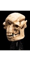 The Lord of the Rings - Skull of a Cave Troll Miniature Skull