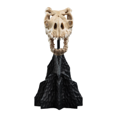 The Lord of the Rings - Skull of a Fell Beast Miniature Skull