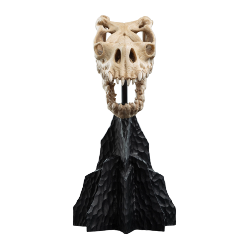 The Lord of the Rings - Skull of a Fell Beast Miniature Skull