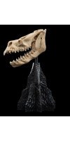 The Lord of the Rings - Skull of a Fell Beast Miniature Skull