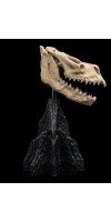 The Lord of the Rings - Skull of a Fell Beast Miniature Skull