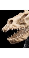 The Lord of the Rings - Skull of a Fell Beast Miniature Skull