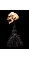 The Lord of the Rings - Skull of a Moria Orc Miniature Skull