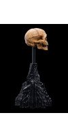 The Lord of the Rings - Skull of Gollum Miniature Skull
