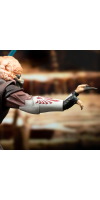 Star Wars: Attack of the Clones - Plo Koon Premier Statue