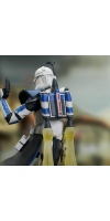 Star Wars: The Clone Wars - Captain Rex Gallery PVC Statue