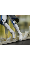 Star Wars: The Clone Wars - Captain Rex Gallery PVC Statue