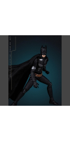 Batman: The Dark Knight Trilogy - Batman 1:9 Scale Action Figure