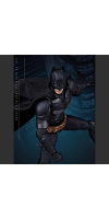 Batman: The Dark Knight Trilogy - Batman 1:9 Scale Action Figure