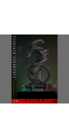 Alien: Romulus - Scorched Xenomorph 1:6 Scale Collectable Action Figure