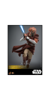 Star Wars: RotS - Plo Koon 1:6 Scale Collectable Action Figure
