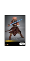Star Wars: RotS - Plo Koon 1:6 Scale Collectable Action Figure
