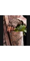 The Hobbit - Radagast Classic Series Statue
