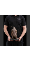 The Hobbit - Radagast Classic Series Statue