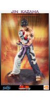 Tekken 5 - Jin Kazama 1/4 Scale Statue