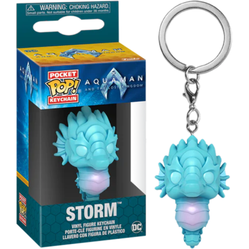 Aquaman and the Lost Kingdom - Storm Pocket Pop! Keychain