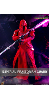 Star Wars - Imperial Praetorian Guard 1:6 Scale Collectable Figure