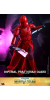 Star Wars - Imperial Praetorian Guard 1:6 Scale Collectable Figure