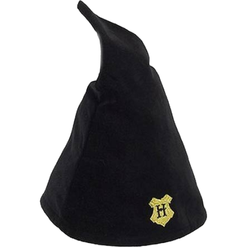 Harry Potter - Hogwarts Student Hat