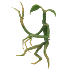 Fantastic Beasts and Where to Find Them - Pickett Bowtruckle Pin and Necklace