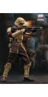 Star Wars: The Mandalorian - Shoretrooper 1/6th Scale Hot Toys Action Figure