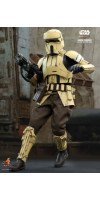 Star Wars: The Mandalorian - Shoretrooper 1/6th Scale Hot Toys Action Figure