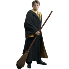 Harry Potter - Cedric Diggory Deluxe 1:6 Scale 12