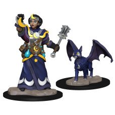 Wardlings - Girl Cleric & Winged Cat Pre-Painted Minis