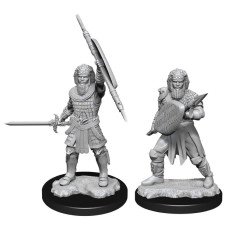 Dungeons & Dragons - Nolzur's Marvelous Unpainted Minis: Human Fighter Male