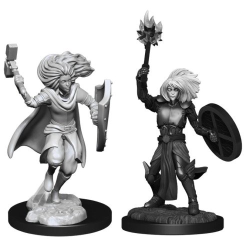 Dungeons & Dragons - Nolzur's Marvelous Unpainted Miniatures: Changeling Cleric Male