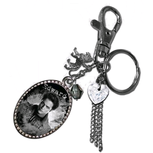 Twilight - Key Ring / Bag Clip Charm Edward