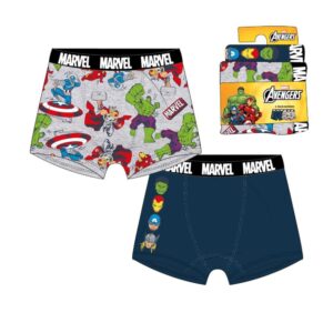Marvel The Avengers assorted 2 boxer set