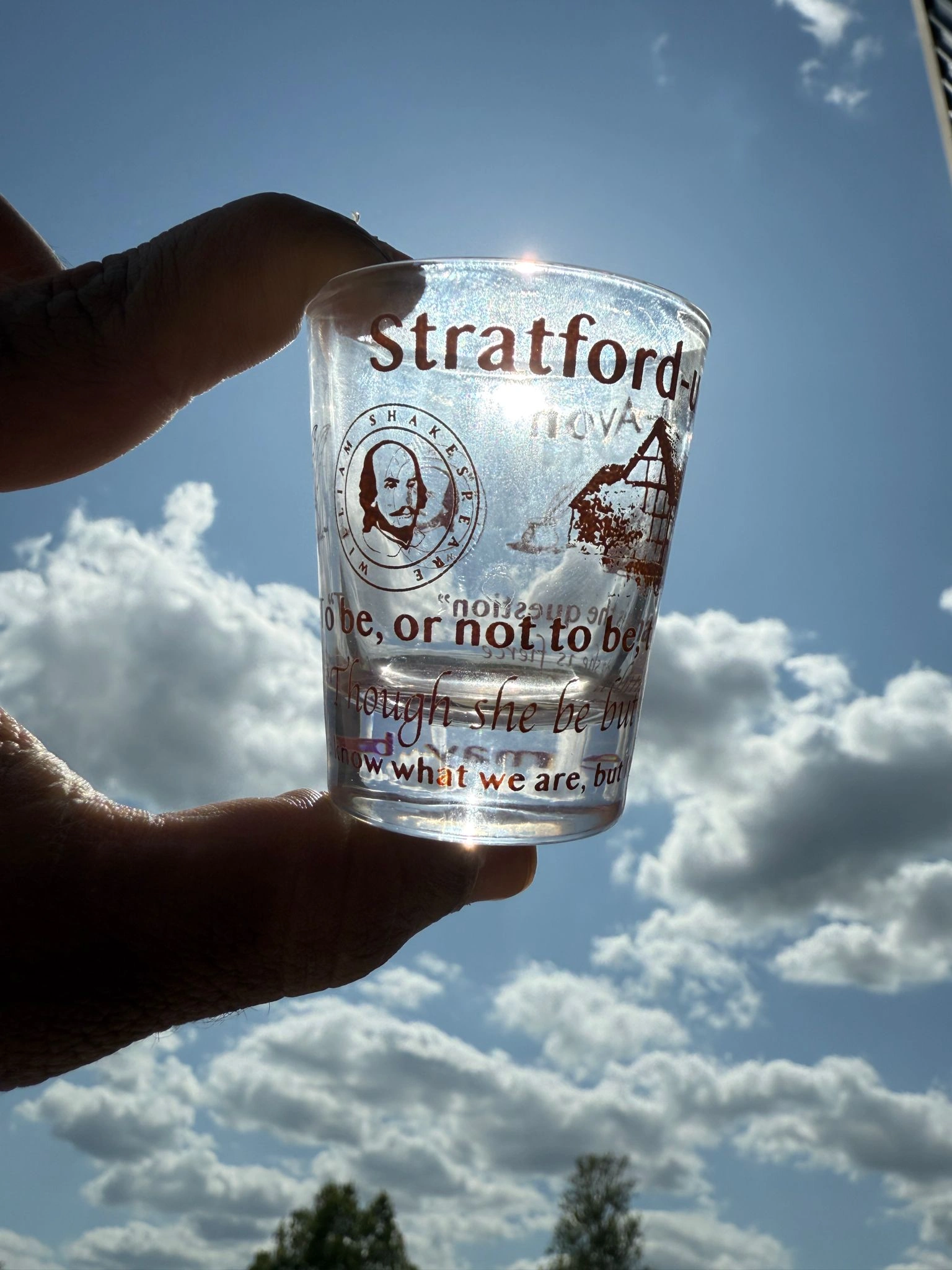 SUA Quotes Shot Glass
