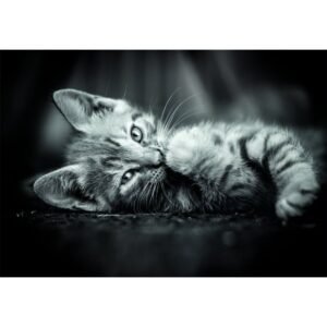 High Quality Kitty puzzle 1000pcs
