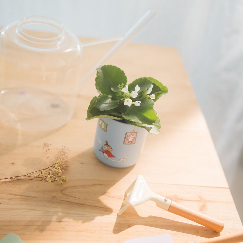 Moomin pencil holder - Image 5