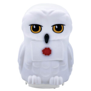 Harry Potter 3D Night Light