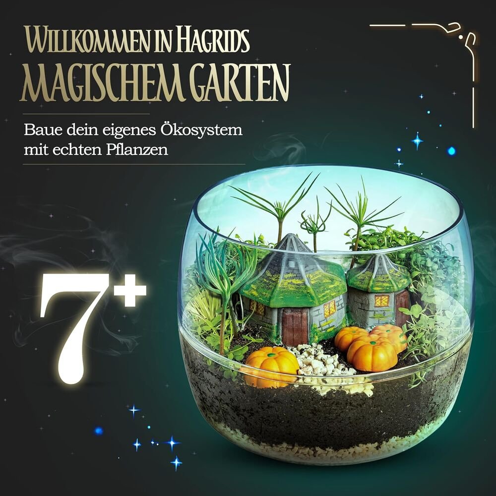 Harry Potter Terrarium - Image 4