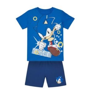 Sonic the Hedgehog outfit