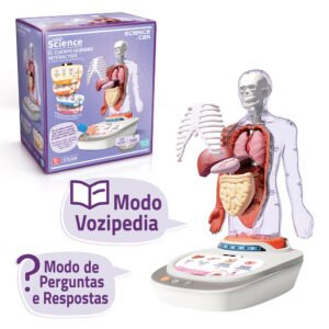Science interactive anatomical model of the human body