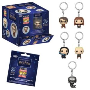 Assorted Pocket POP Keychain Mystery Harry Potter