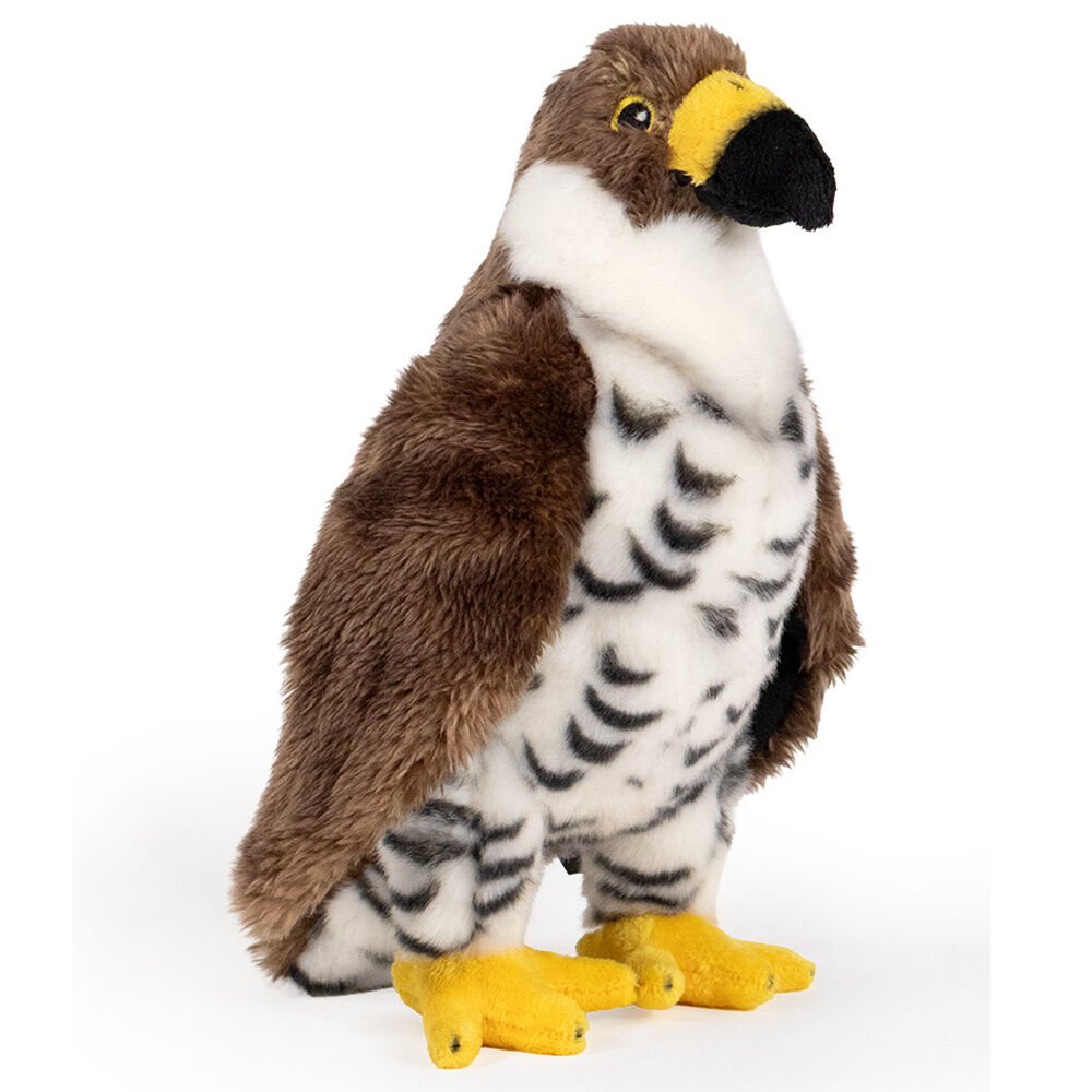 Realistic Animals Hawk plush toy 25cm