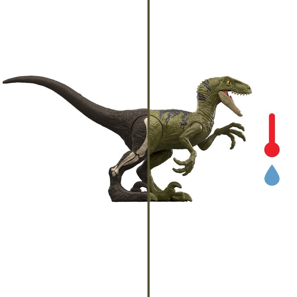 Jurassic World Dino Reveal assorted dinosaur - Image 5